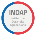 indap transparente