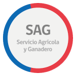 sag transparente